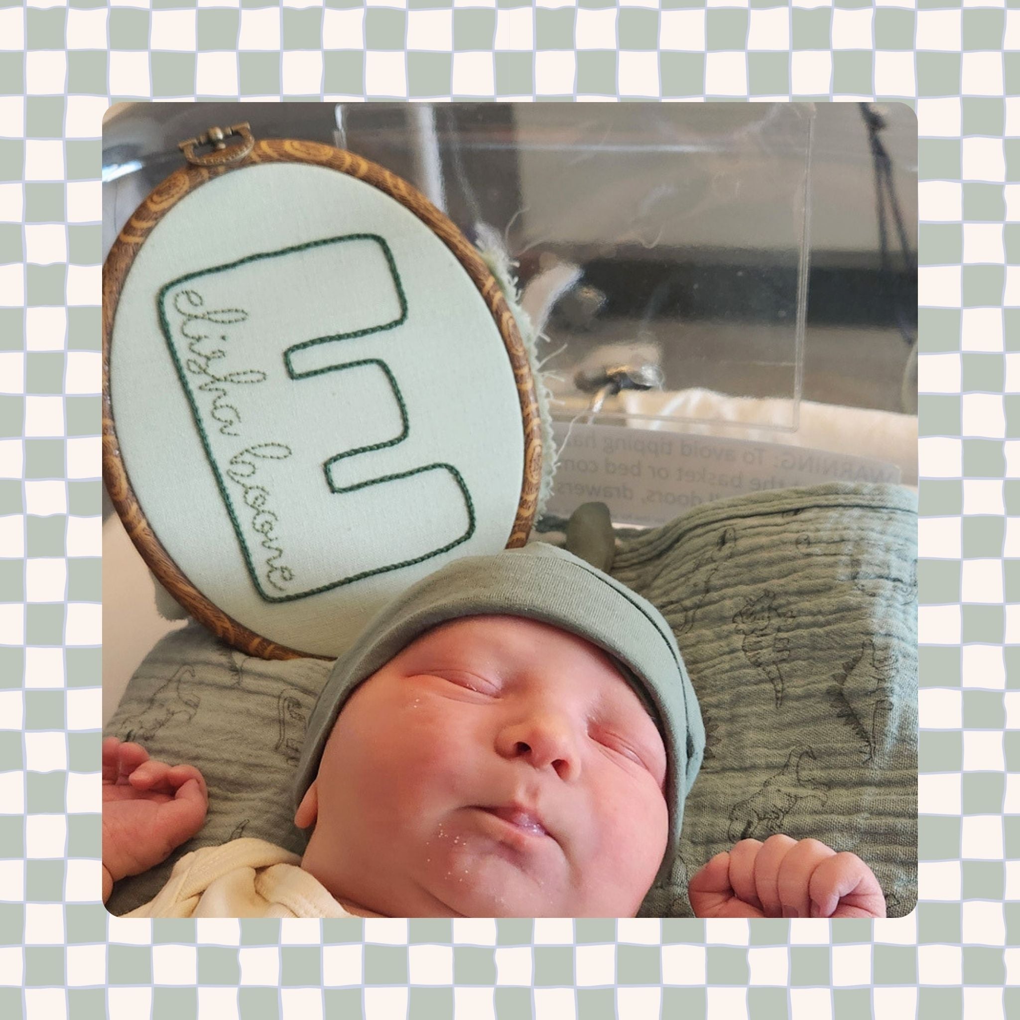 CUSTOM Embroidered Baby Name Announcement Hoop